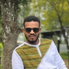 hossam aldeen