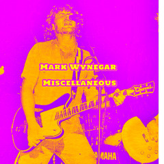 Mark Wynegar - BSides / Misc. Throughout The Years