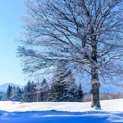 extra snowy snow