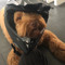 meneer