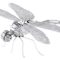 Obscured Wingtip Memoir