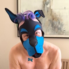Pup qubit2