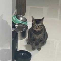 Tobi