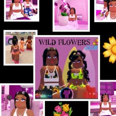 Blackbarbie 247