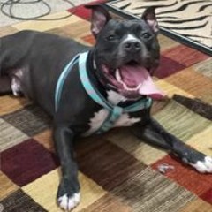 Michelle Lyn Paradise