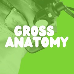 Gross Anatomy Podcast