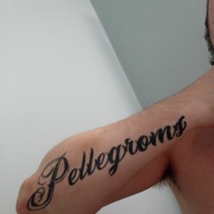 Lance Pellegroms