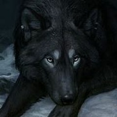 Lonely wolf
