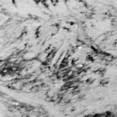 Pablo Torres ~ nodes