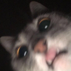 Turito