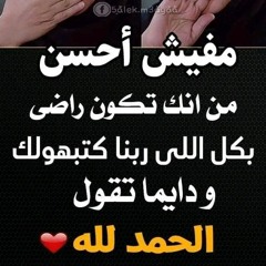 Ekramy Zkrya