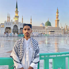 Malik umair shahwani👑