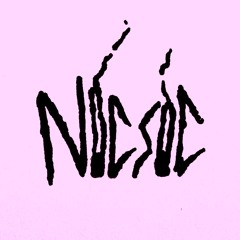 NICSIC