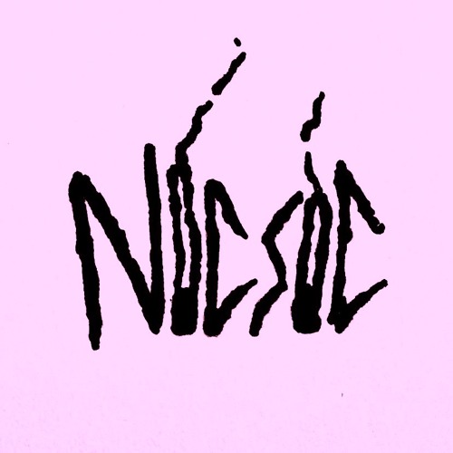 NICSIC’s avatar