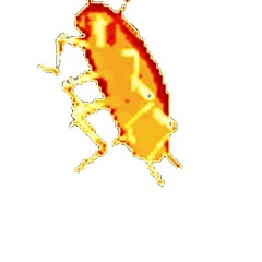 SZE CHING NATHAN FUNG