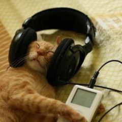 DJ MAYYAN