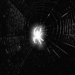 𝔡̴𝔞̴𝔢̴'̴𝔯̴𝔬̴𝔫̴