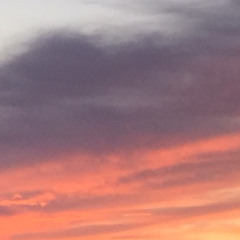 SummerLight
