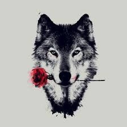 wolf’s avatar