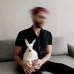 Timmy Rabbits