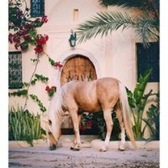 منه'ه إبنة'ة ممدوح