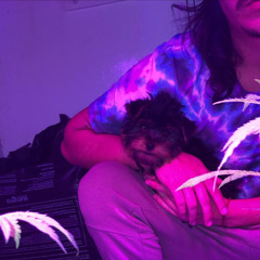 Lui exotiks