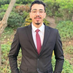 mohy salman