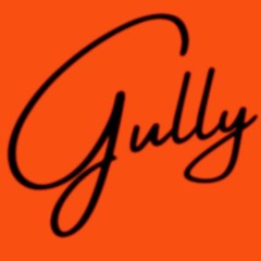 gully.ssxiii.promos