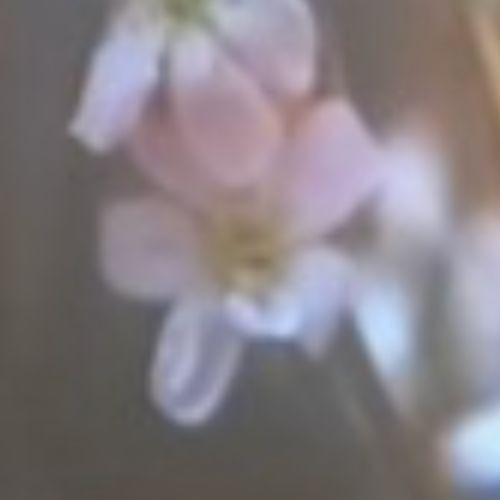 cut scene 3 (zophar rip)