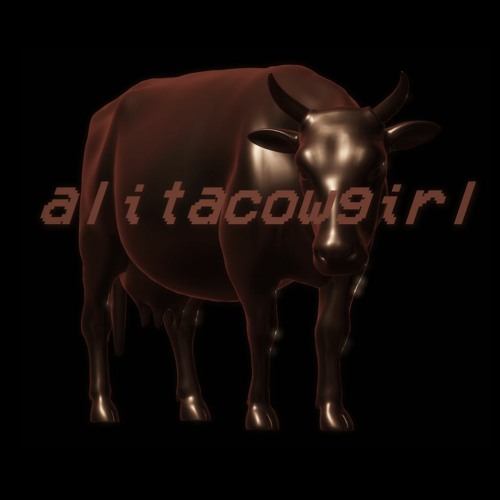 alitacowgirl’s avatar