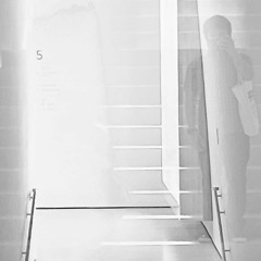 Reflections After Jane