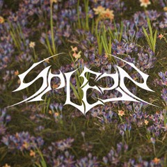 SPLEEN