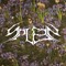 SPLEEN