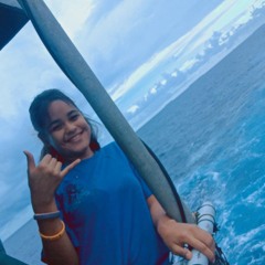 Shan Shan Fagolur