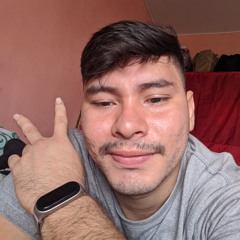 Henriquejapones