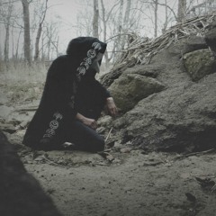 Obsidian Raven
