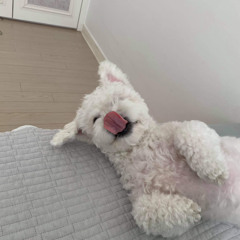 정 윤