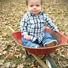lil wheelbarrow