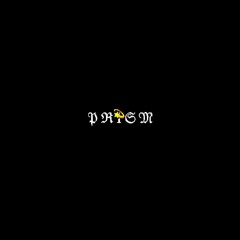 𝔓 ℜ 1 𝔖 𝔐