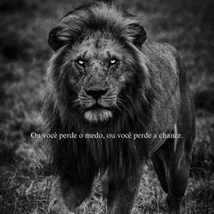 CNRELIKIAOFC - PERFIL 2 ✅