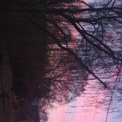Skylee