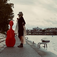 she, cellist troubadour