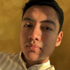 Cristian Mercado loza