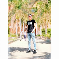 sharkawy11