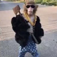 A$AP BIBO