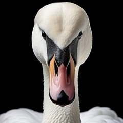 Александр Лебедь