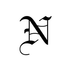 N113