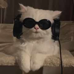 야옹