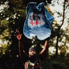 Evolation Music Vision