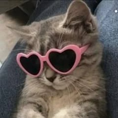 VXLENTINE💔